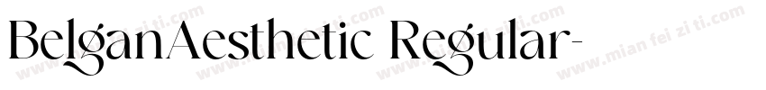 BelganAesthetic Regular字体转换